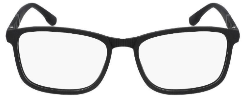 Flexon E1114 Glasses