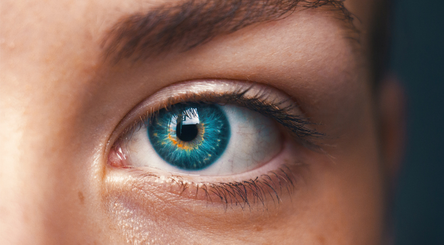 heterozygous eye color