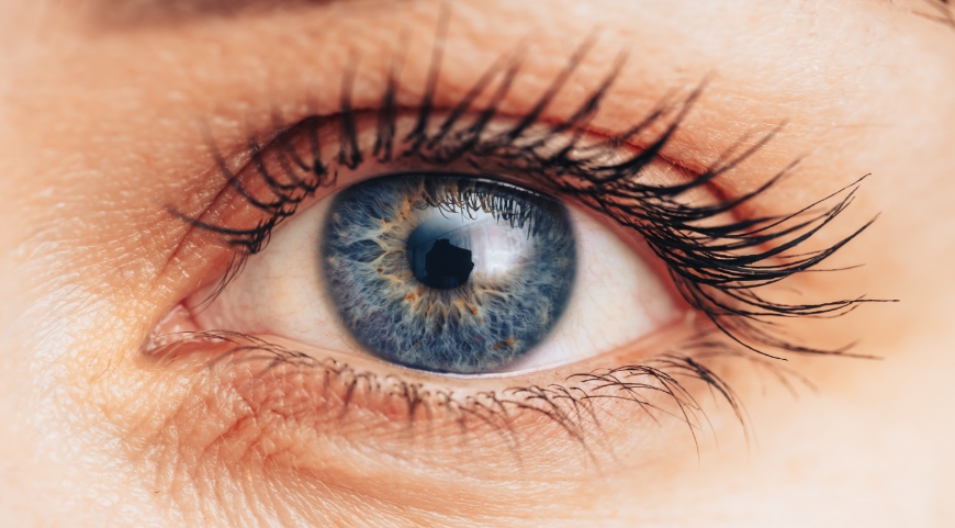 Top 7 Reasons Your Eyes are Incredible