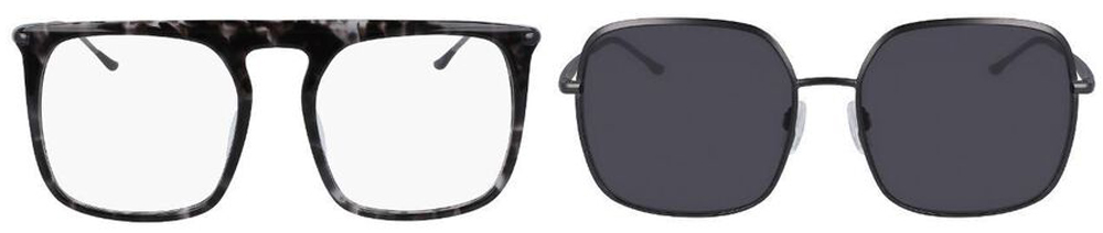 Donna Karan DO7000 glasses and Donna Karan DO101S sunglasses