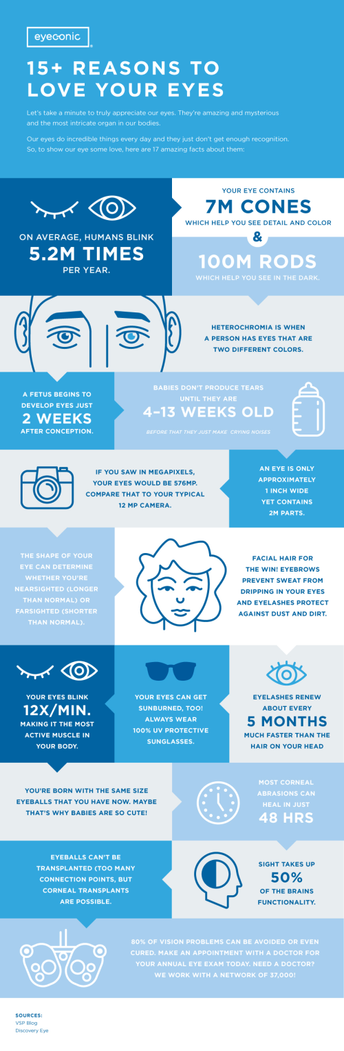 6 Fascinating Facts About Your Eyes And Your Vision