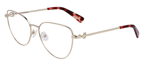 Elegant longchamp glasses