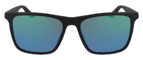 Dragon Renew LL ION sunglasses