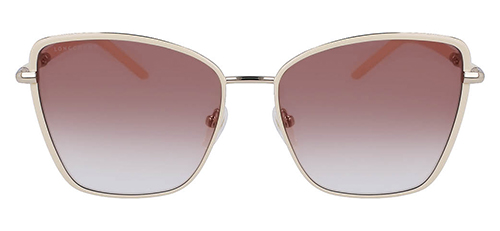 longchamp glasses with tinted frames