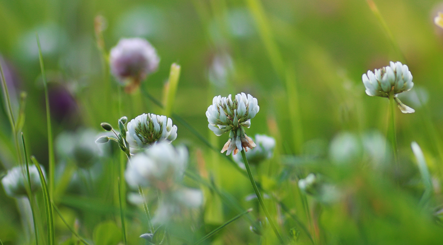 Six Easy Ways to Protect Your Eyes from Seasonal Allergies